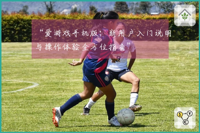 “爱游戏手机版：新用户入门说明与操作体验全方位指南”