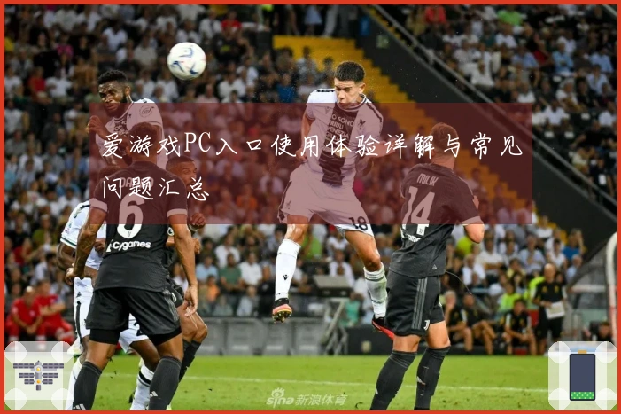 爱游戏PC入口使用体验详解与常见问题汇总
